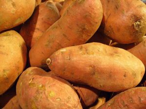 Диетологи рассказали об отличиях батата от обычного картофеля