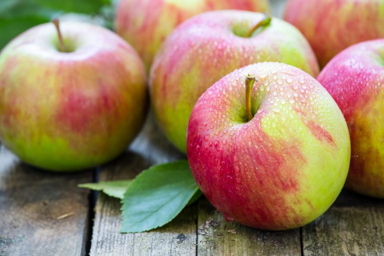 Ученые рассказали, сколько бактерий содержится в одном яблоке