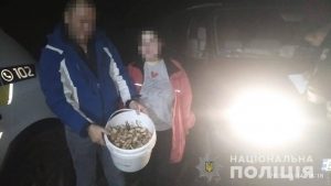 В Одесской области полиция вывела из леса заблудившихся грибников