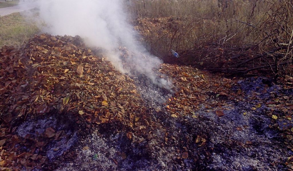 Эксперты рассказали о вреде сжигания листьев
