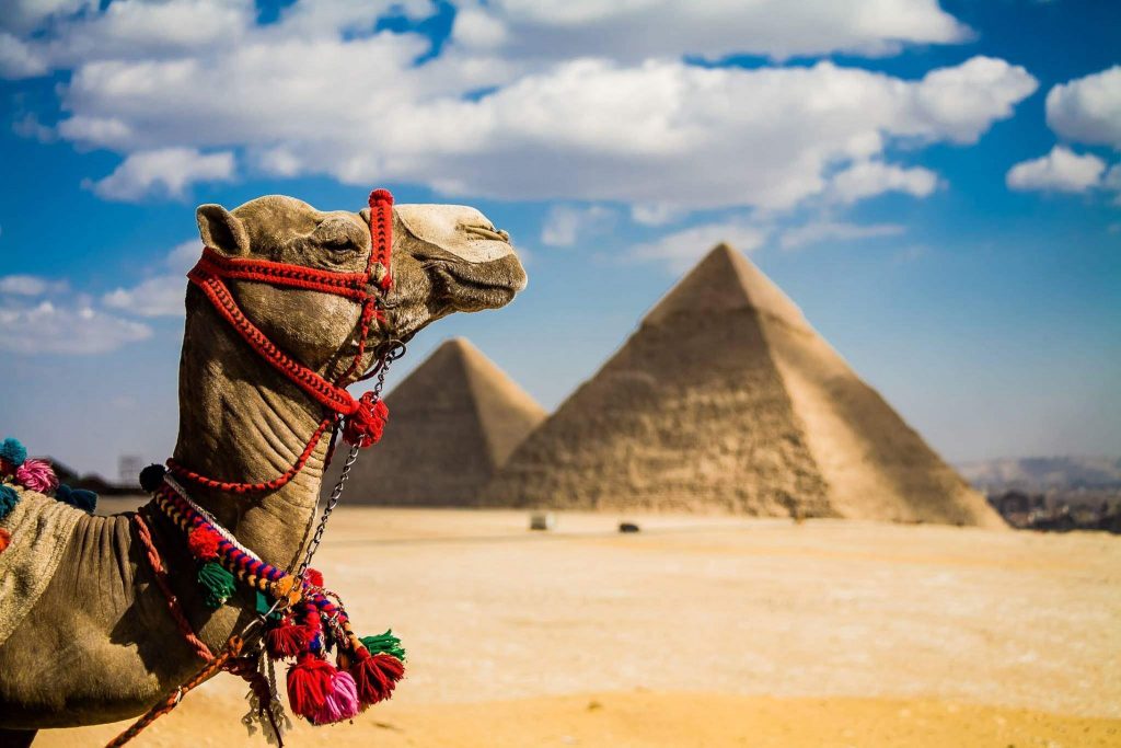 В Египте вводят новые ограничения для туристов