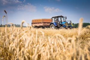 В 2022 году украинский агроэкспорт принес госбюджету 20 млрд долларов валютной выручки