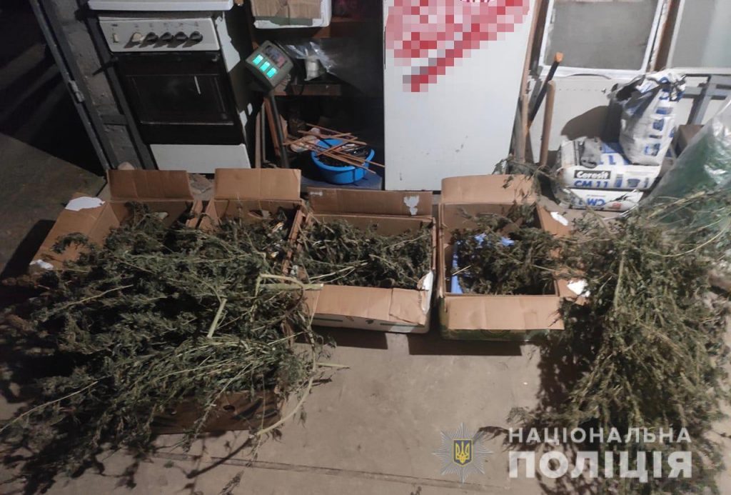 У жителя Закарпатья полиция изъяли более двух кило конопли