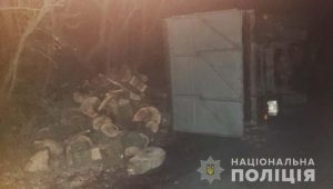 В Днепропетровской области перевернулся грузовик «черного лесоруба»