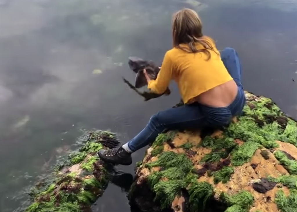 Австралийская девочка голыми руками спасла акулу