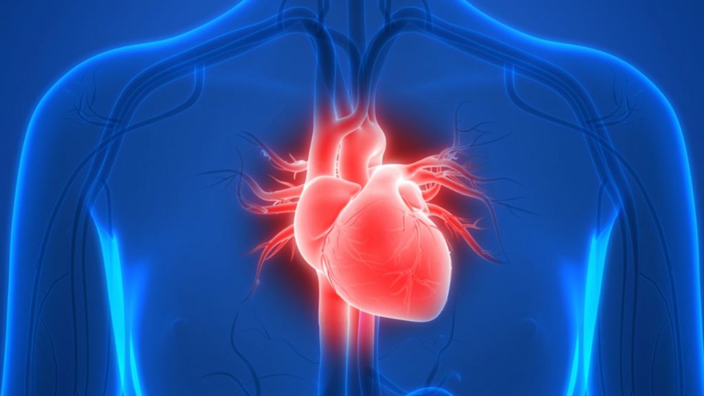 Признаки простуды можно спутать с болезнью сердца