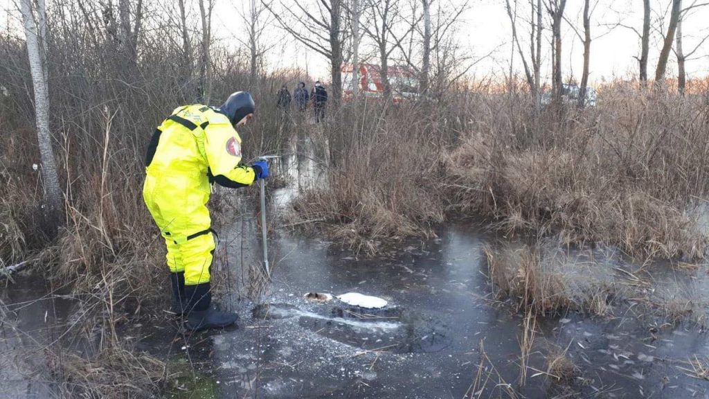 На Троещине в Киеве в замерзшем водоеме нашли труп мужчины