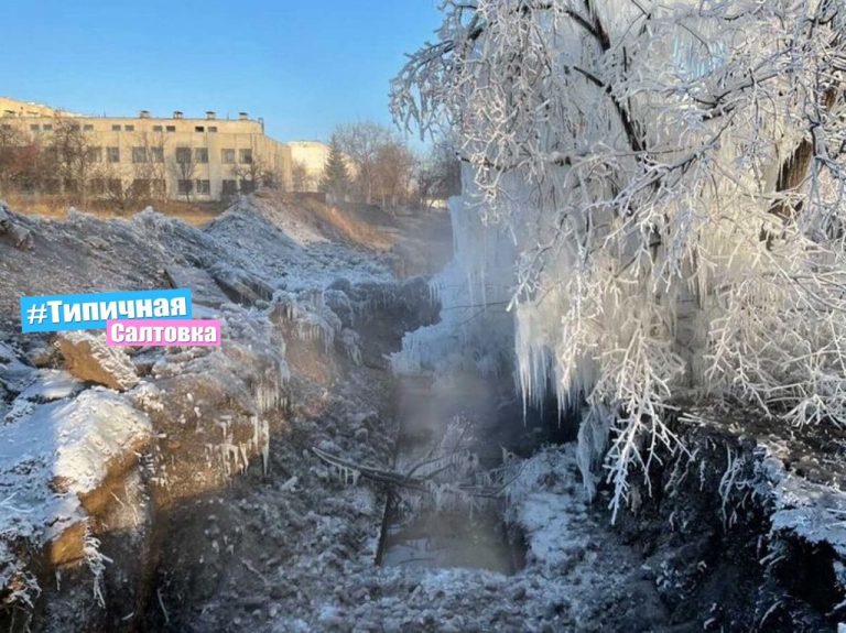 В Харькове появились ледяные деревья