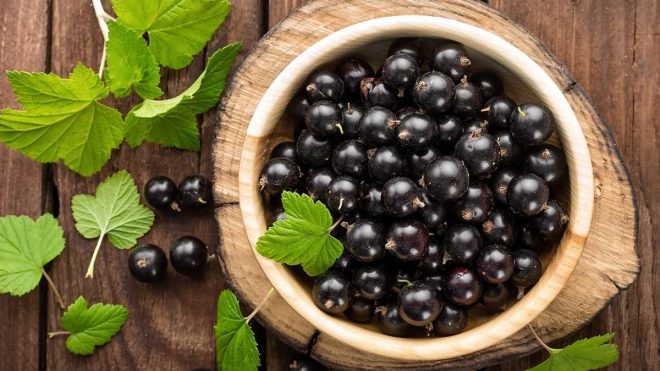 Учёные обнаружили необычайно полезное свойство чёрной смородины