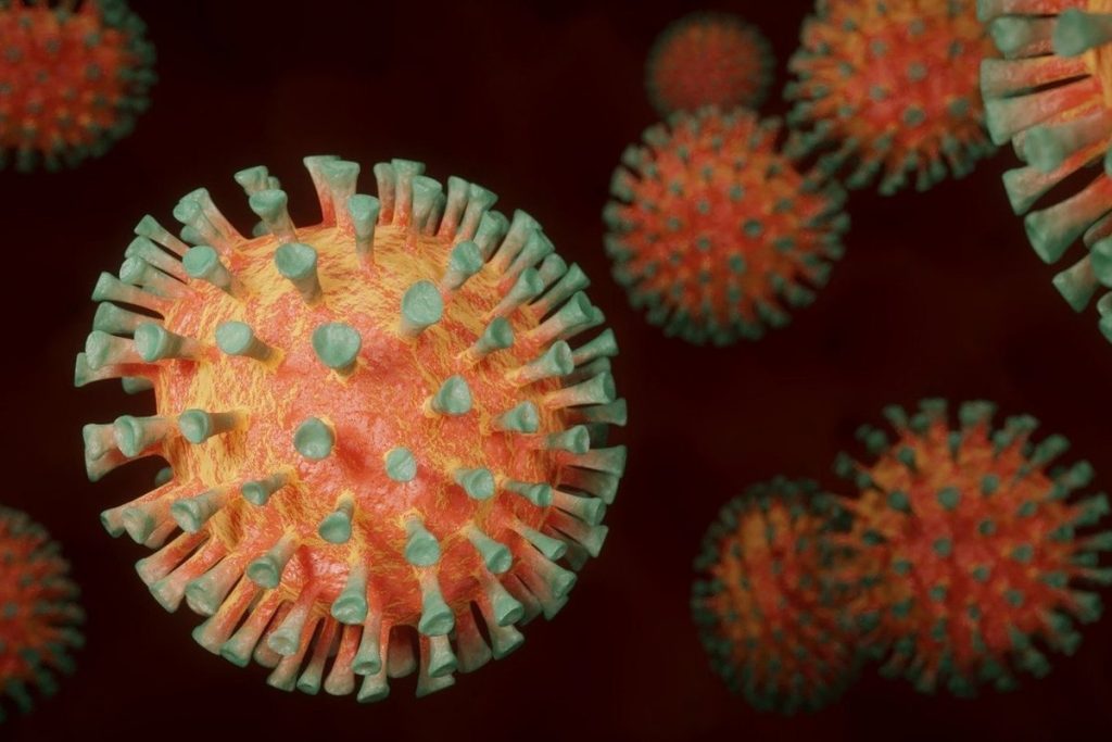 В Украине циркулируют пять штаммов коронавируса