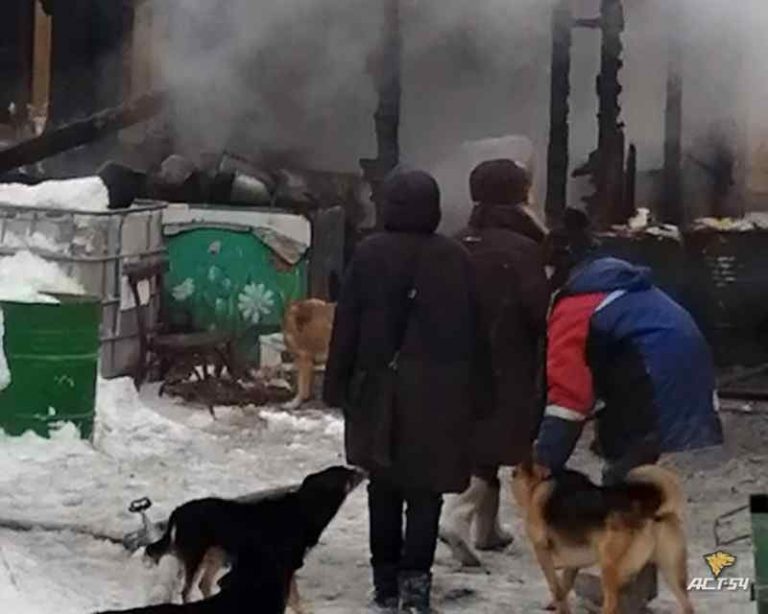 В РФ горел собачий приют с 200 животными внутри