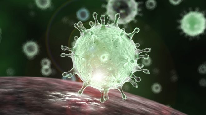 Вирусолог назвал срок спада пандемии COVID-19