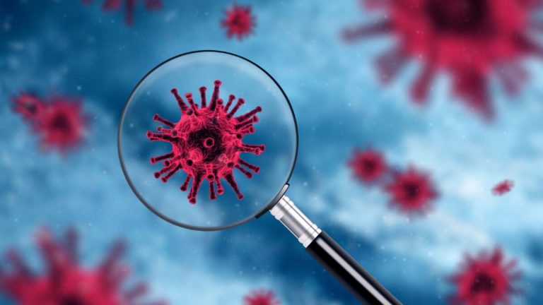 Выявленный в Великобритании новый штамм коронавируса оказался более заразным – ВОЗ