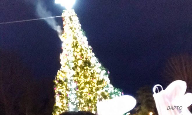В Трускавце загорелась новогодняя елка с гирляндами