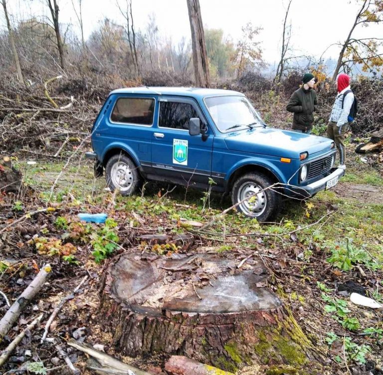 В Винницкой области злоумышленники вырубили около 800 деревьев: ущерб оценивается в 12 миллионов гривен