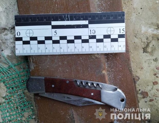 В Запорожской области житель села ударил ножом оппонента