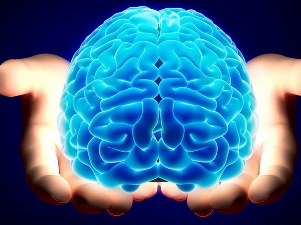 Остановить старение клеток мозга можно физкультурой &#8212; нейробиологи