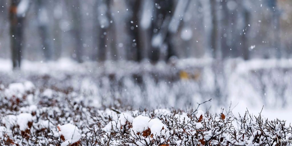Погода на 14 декабря: в Украине &#8212; мокрый снег, в 3 областях ночью минусовая температура