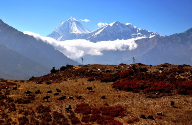 Ученые обнаружили в Тибете следы мифической страны &#8212; СМИ
