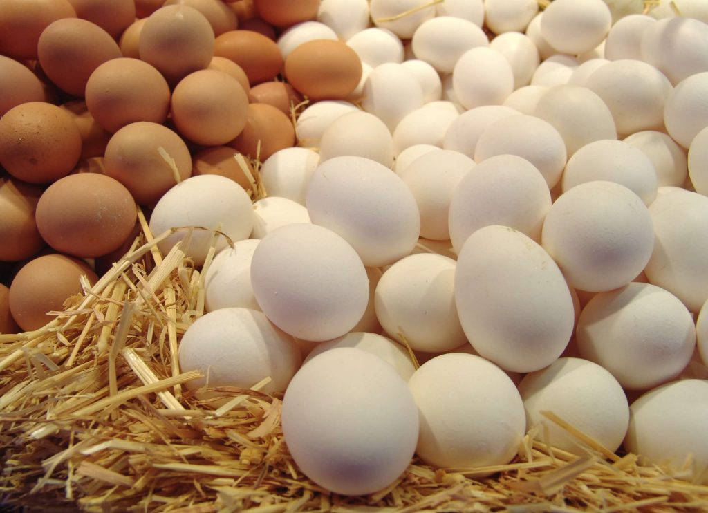В начале 2021 года могут подорожать куриные яйца