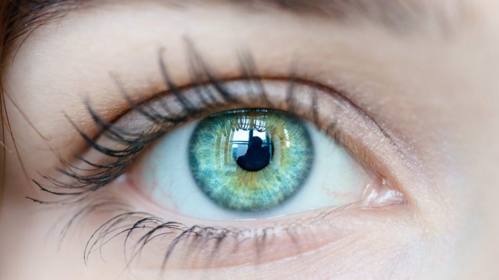 Как сохранить здоровье глаз в период пандемии: врачи дали ответ