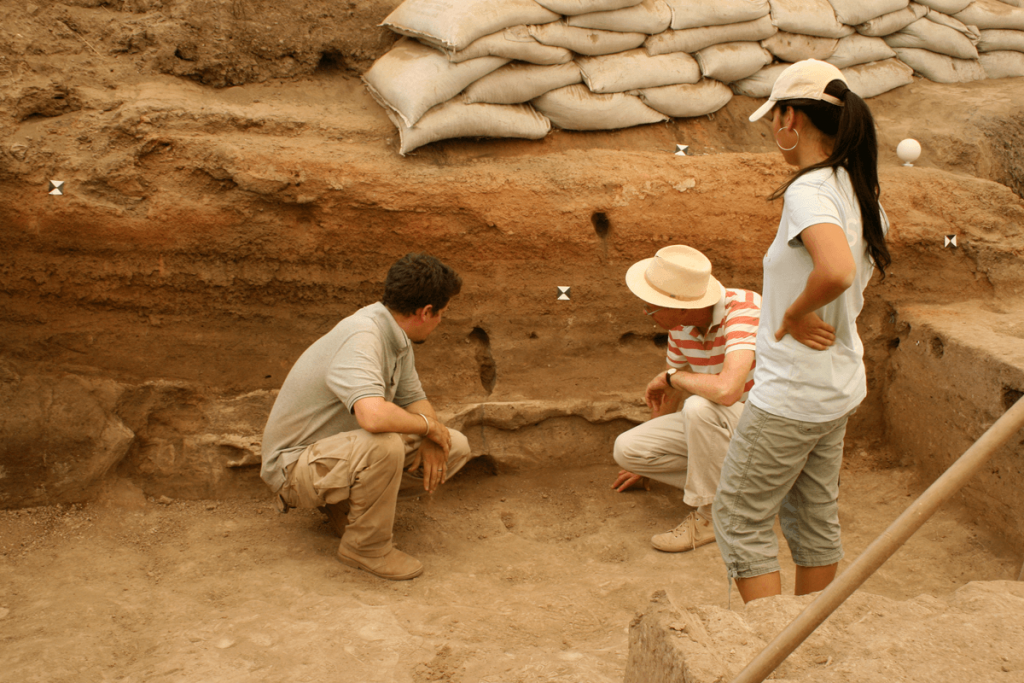 Археологи рассказали новые подробности о древних орудиях труда