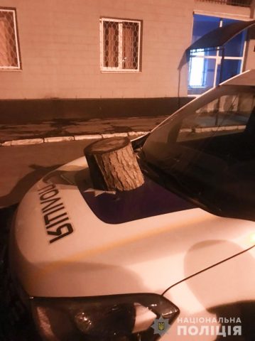 Пьяный житель Запорожья устроил дебош возле отделения полиции