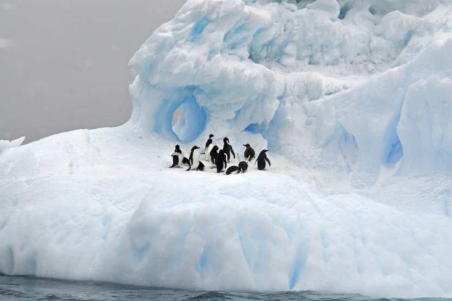 Ученые создали «ледяного» робота для изучения Антарктики