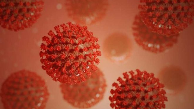 Новые мутации коронавируса обеспокоили ученых