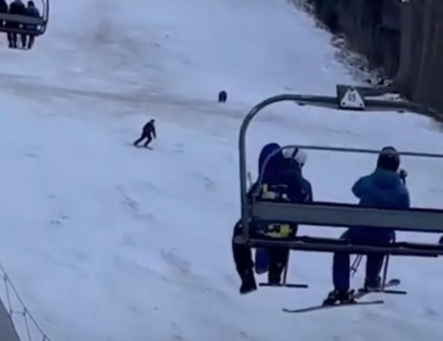 На курорте в Румынии лыжнику удалось сбежать от медведя