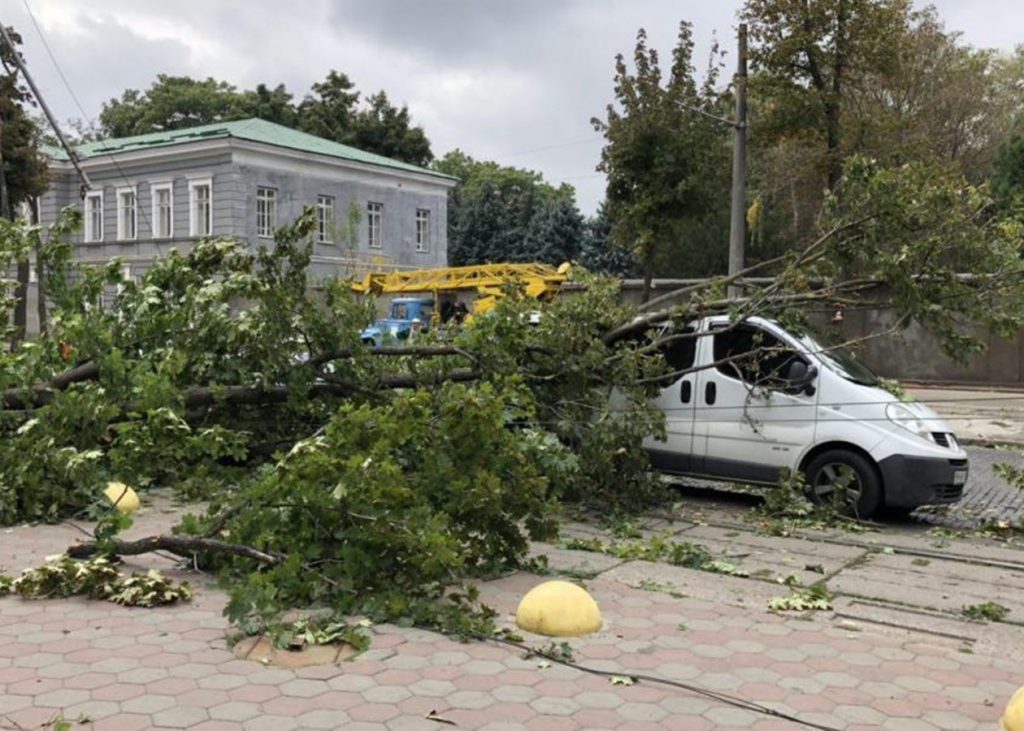 В Одессе порывистый ветер повалил полтора десятка деревьев