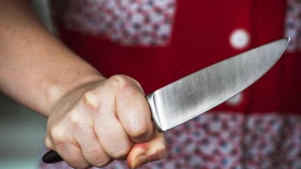 В Одесской области пенсионерка ударила ножом прохожего