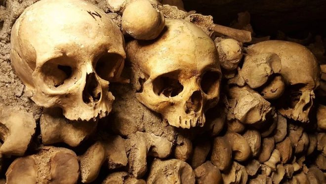 Археологи выяснили, что убило население Сибири четыре тысячи лет тому назад