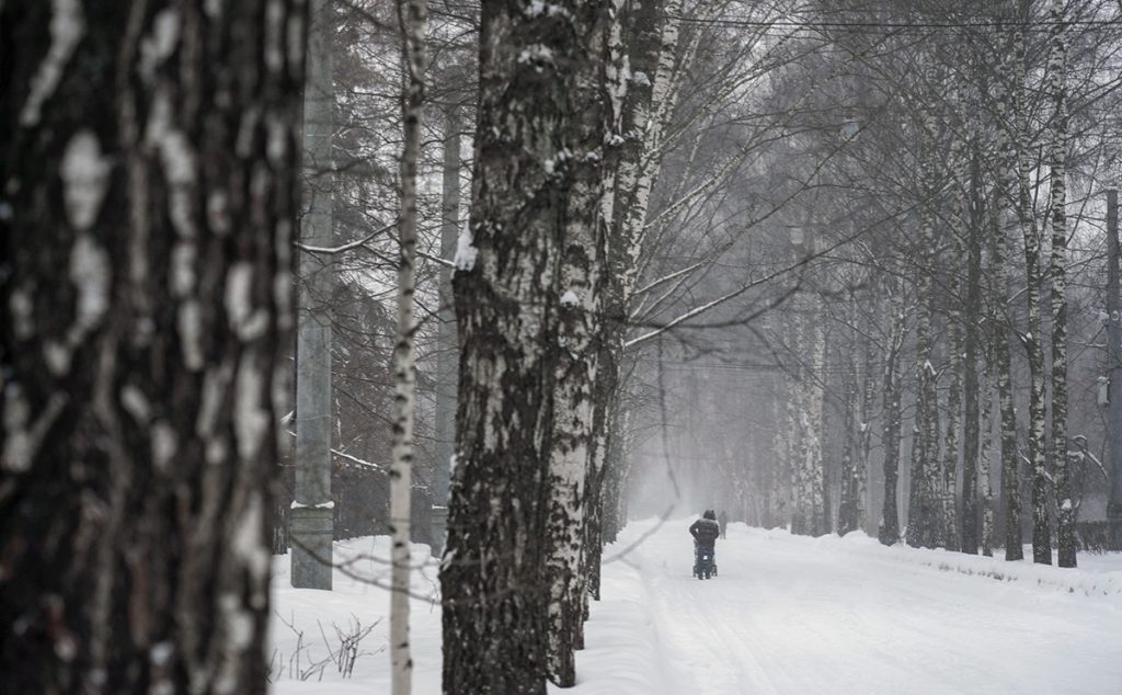 Народный синоптик предупредил украинцев о снегопадах