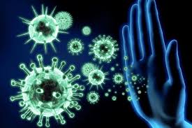 Появились новые данные об иммунной защите против COVID-19