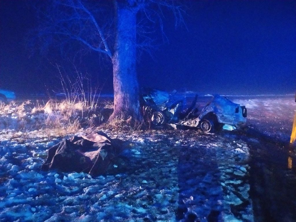 На Житомирщине водитель Skoda врезался в дерево: есть погибшие