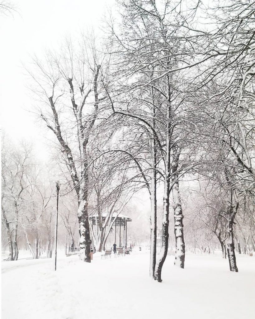 Киев замело снегом: красочные фото