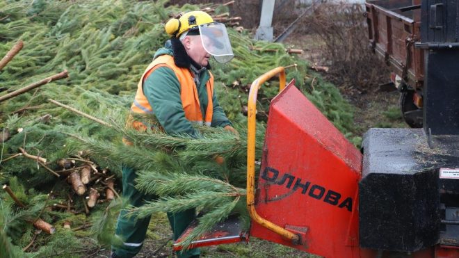 В Киеве стала доступной утилизация новогодних елок