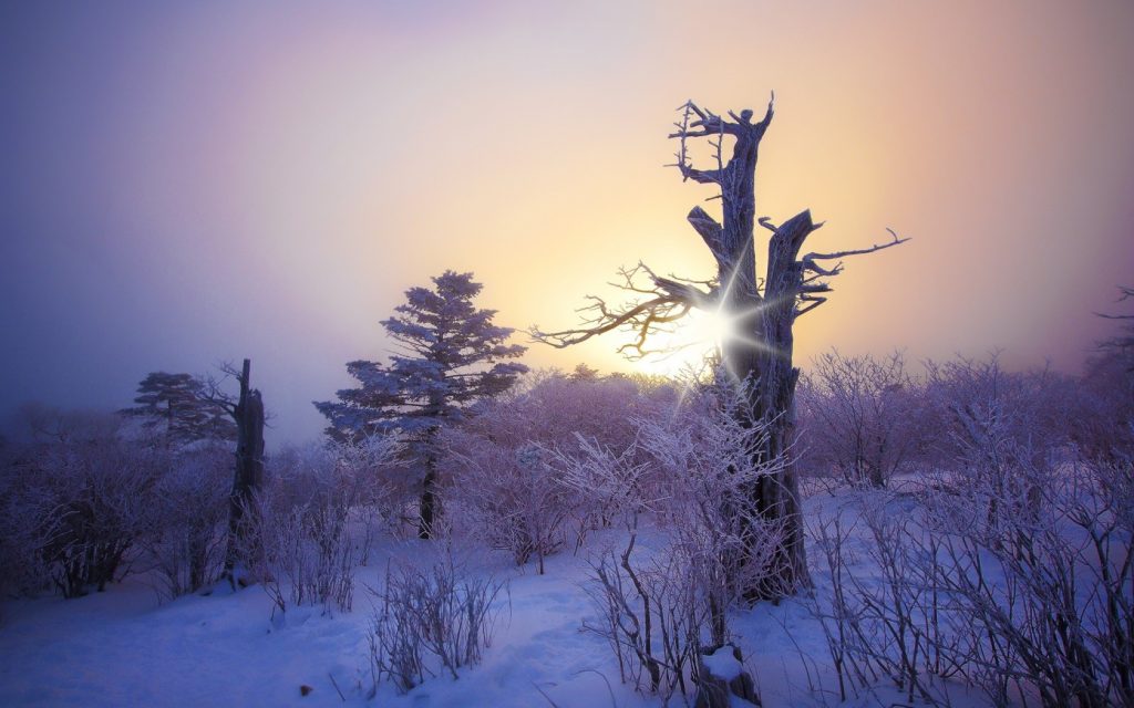 Погода на 15 января: в Украине усилится мороз и пойдет снег