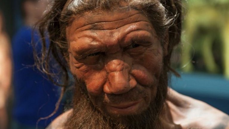 Ученые рассказали о том, как жили неандертальцы