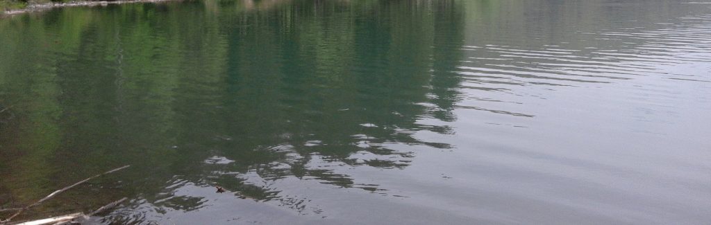 В реках Закарпатья ожидается подъем воды