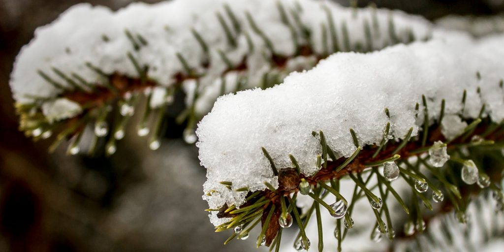 Погода на 13 января: в Украине ожидаются мокрый снег и гололед