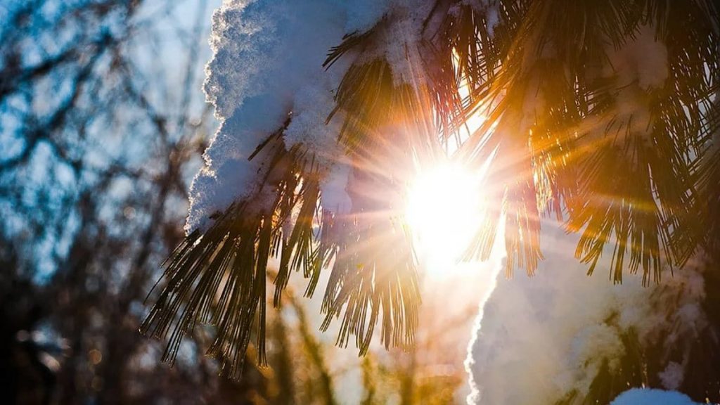 «Сухо и тепло»: синоптики рассказали о погоде 15 февраля (ФОТО)