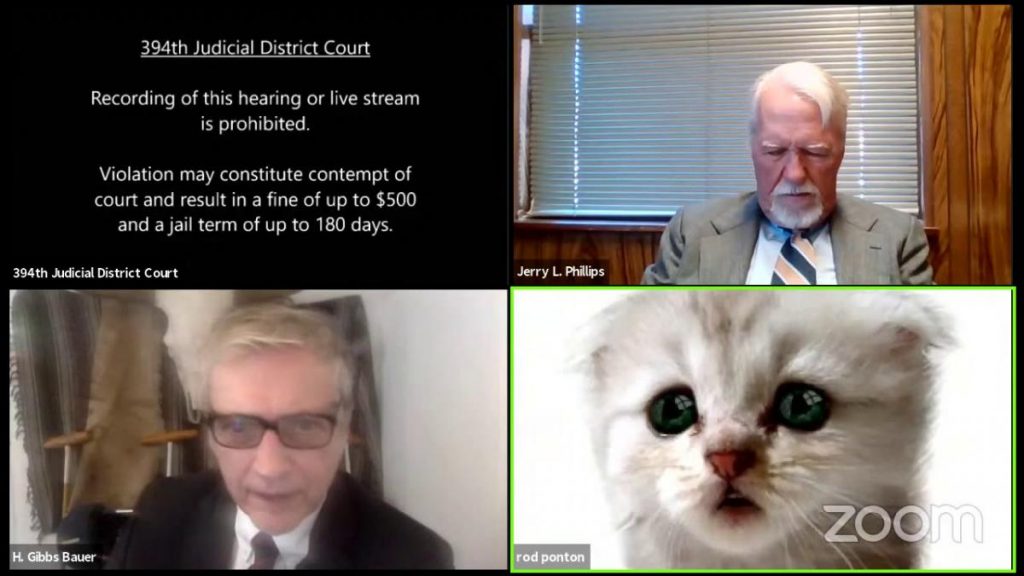В США прокурор вел заседание в «маске» кота