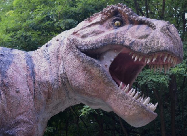 Ученые выяснили причину вымирания динозавров