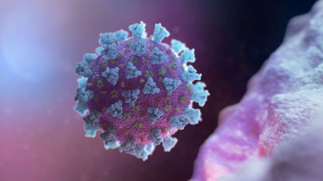 В Великобритании выявили новую мутацию коронавируса