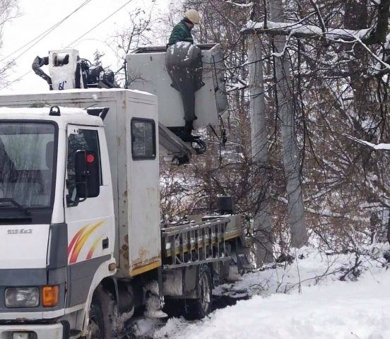 Под Киевом из-за бобров село осталось без электричества