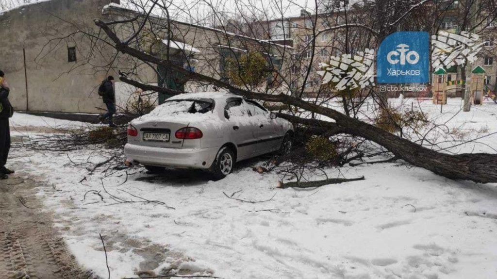 В Харькове на Daewoo упало дерево