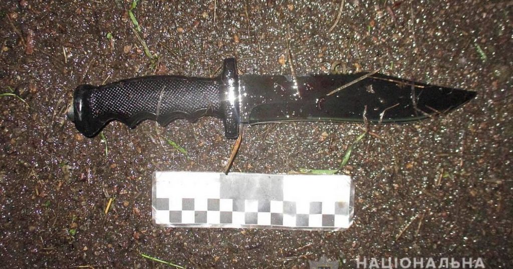 В Житомире женщина одним ударом ножа убила знакомую