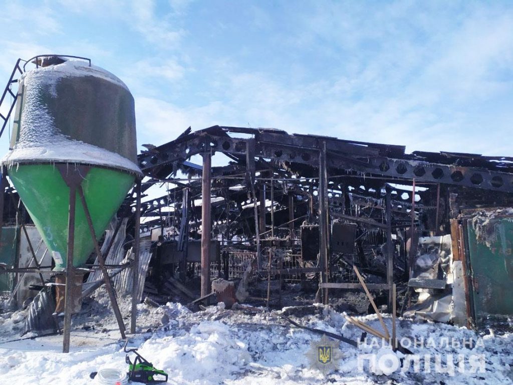 На Черниговщине при пожаре с селе погибли более 200 свиней